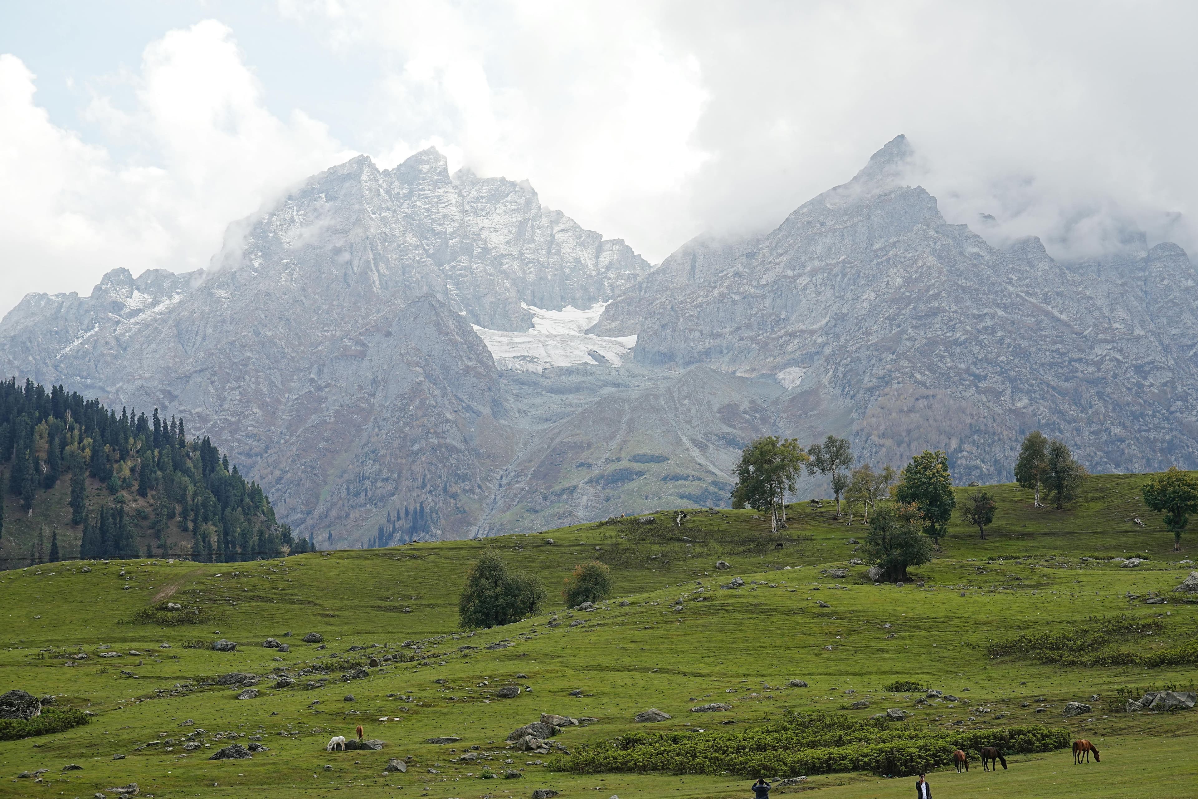 Forest landscape in Azad Jammu & Kashmir